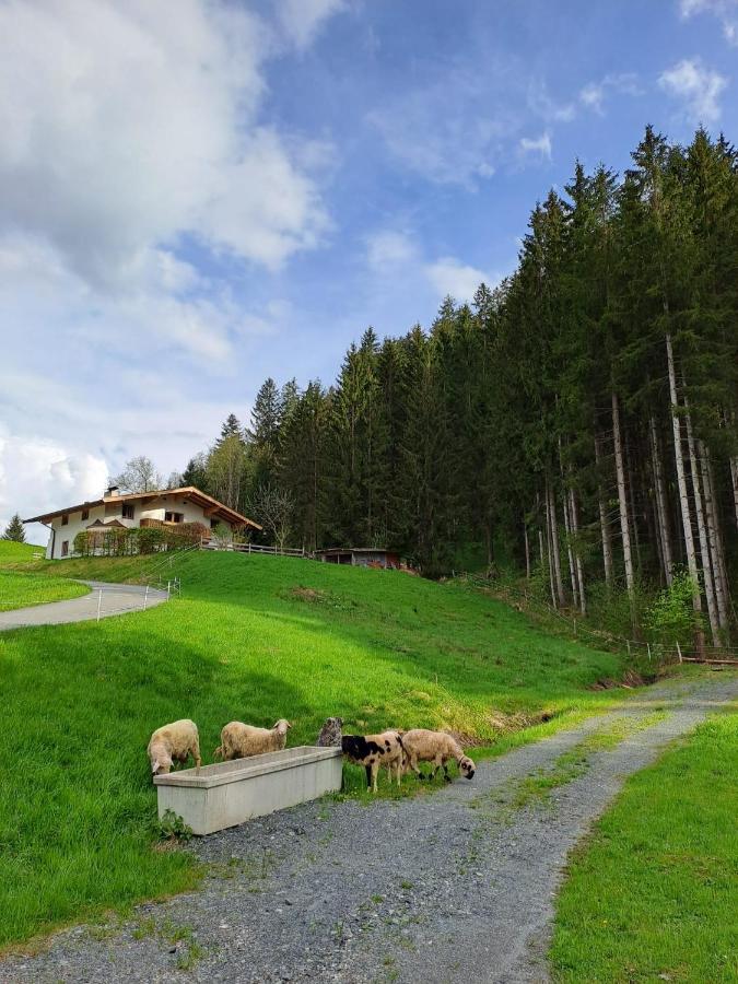 Ferienhaus Hansl Prama 外观 照片